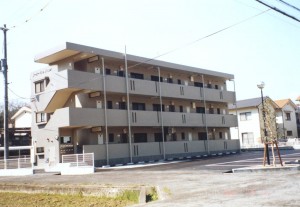 saharayumi
