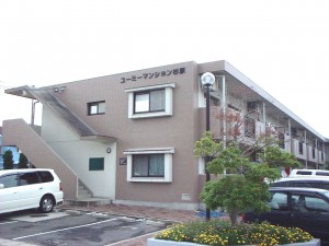 sugiharayumi